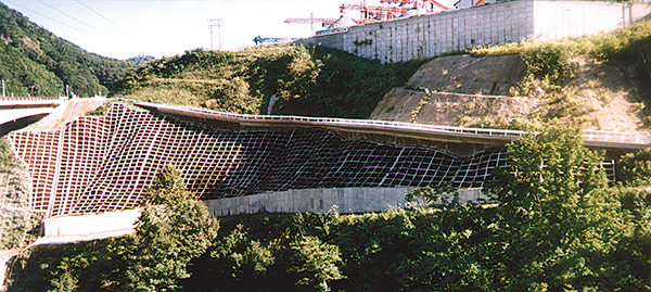 横沢右岸法面