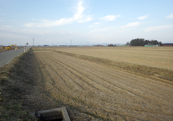 広野